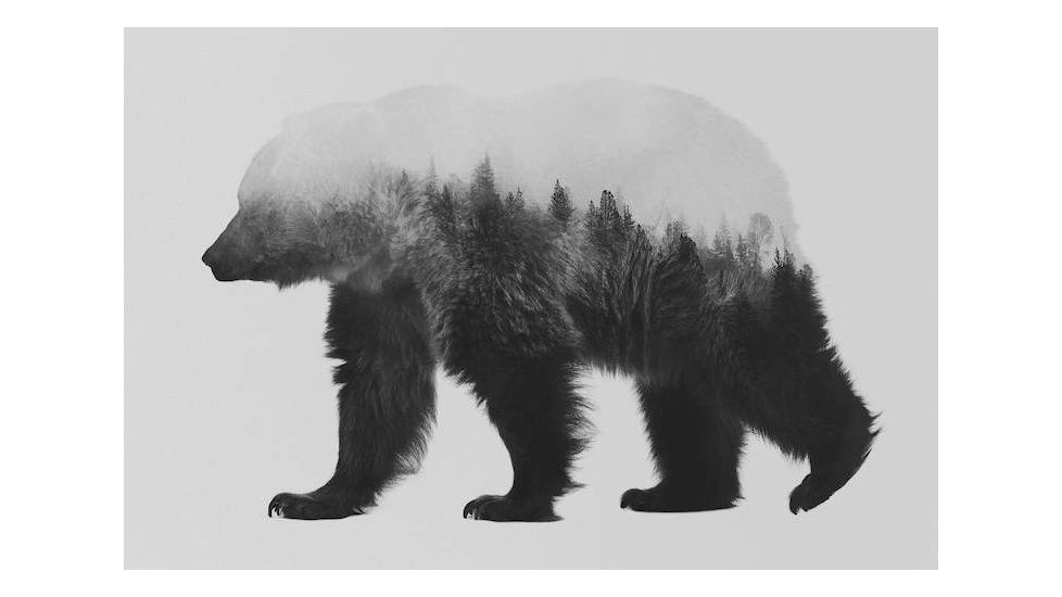 iCanvas Bjorn I in B&amp;W by Andreas Lie Canvas Print, Multi, 18x12 ALE111-1PC3-18x12