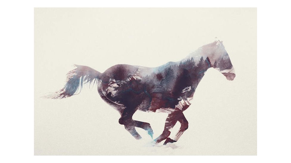 iCanvas Horse I by Andreas Lie Canvas Print, Multi, 18x12 ALE6-1PC3-18x12