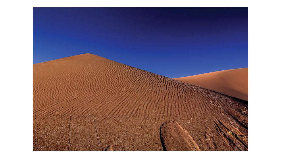 iCanvas The Great Sand Dunes National Park by William Sherrell Canvas Print, Multi, 18x12 SHL208-1PC3-18x12