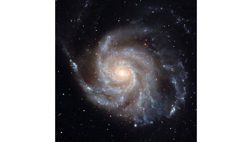 iCanvas The Pinwheel Galaxy, M101, by Stocktrek Images Canvas Print, Multi, 18x18 TRK1735-1PC3-18x18