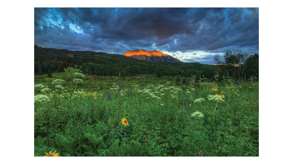 iCanvas Wildflowers And Mountain Majesty by William Sherrell Canvas Print, Multi, 18x12 SHL237-1PC3-18x12