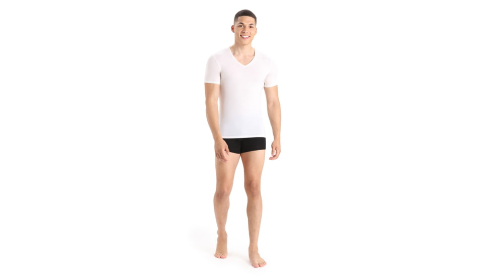 Icebreaker Anatomica Short Sleeve V Neck T-Shirt - Men's, Snow, Large, IB103661104L