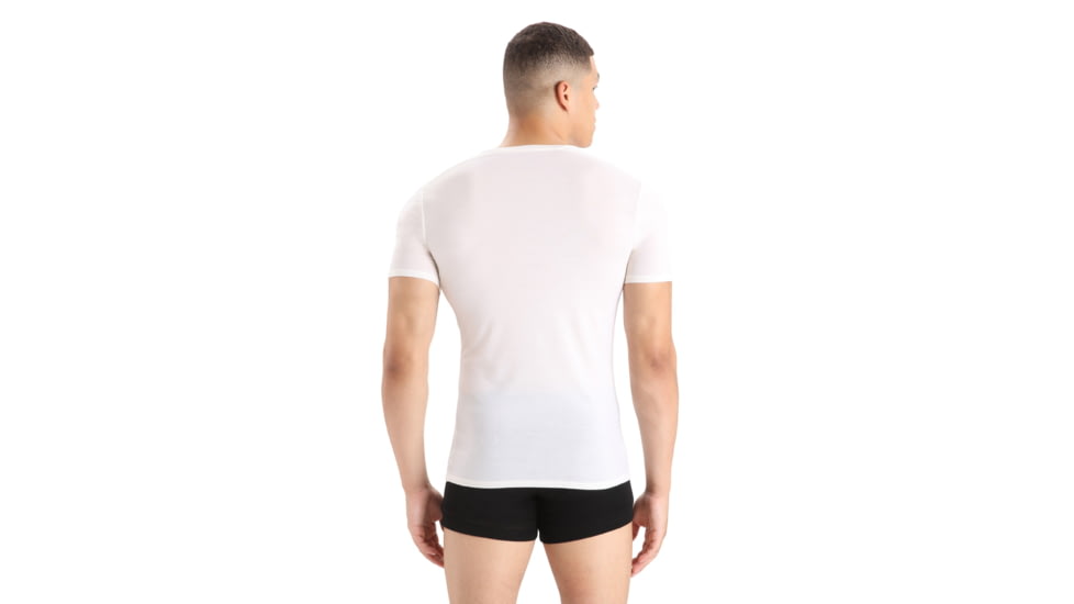 Icebreaker Anatomica Short Sleeve V Neck T-Shirt - Mens, Snow, Large, IB103661104L