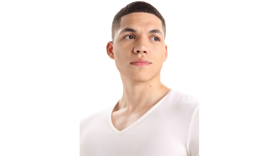 Icebreaker Anatomica Short Sleeve V Neck T-Shirt - Mens, Snow, Large, IB103661104L