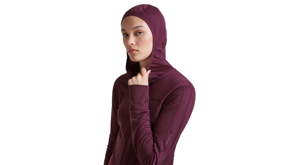 Icebreaker Merino Blend 300 RealFleece Descender Long Sleeve Zip Hoodie - Womens