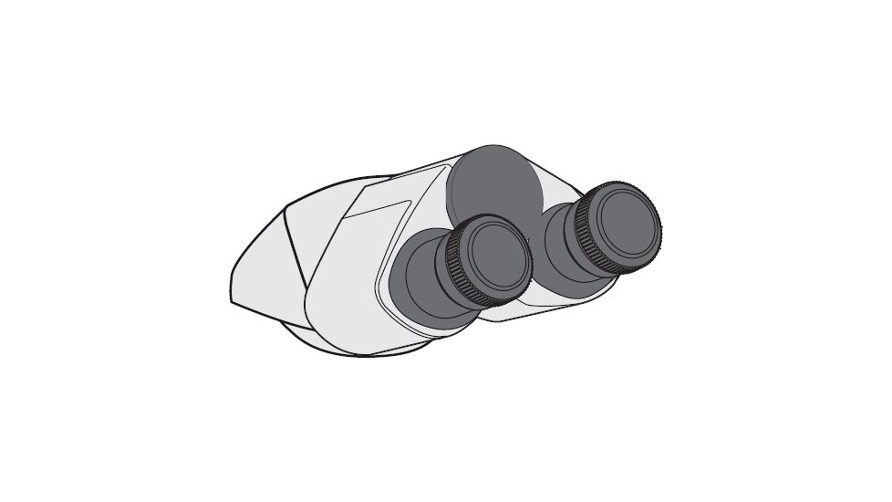 Leica Microsystems Bino Tube for DM100/DM300 13613324