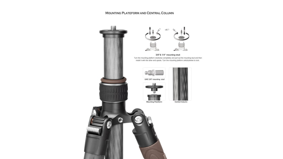 Leofoto LX-284CT/XB-38 Reversible Travel Tripod w/ Ball Head Set, Black, LX-284CT+XB-38