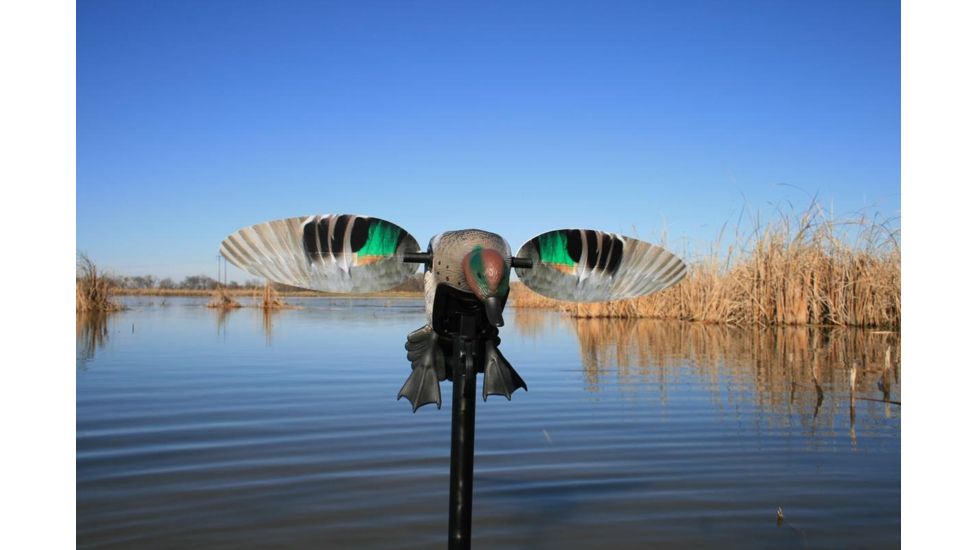Mojo Green Wing Teal Decoy, Elite Series HW2474