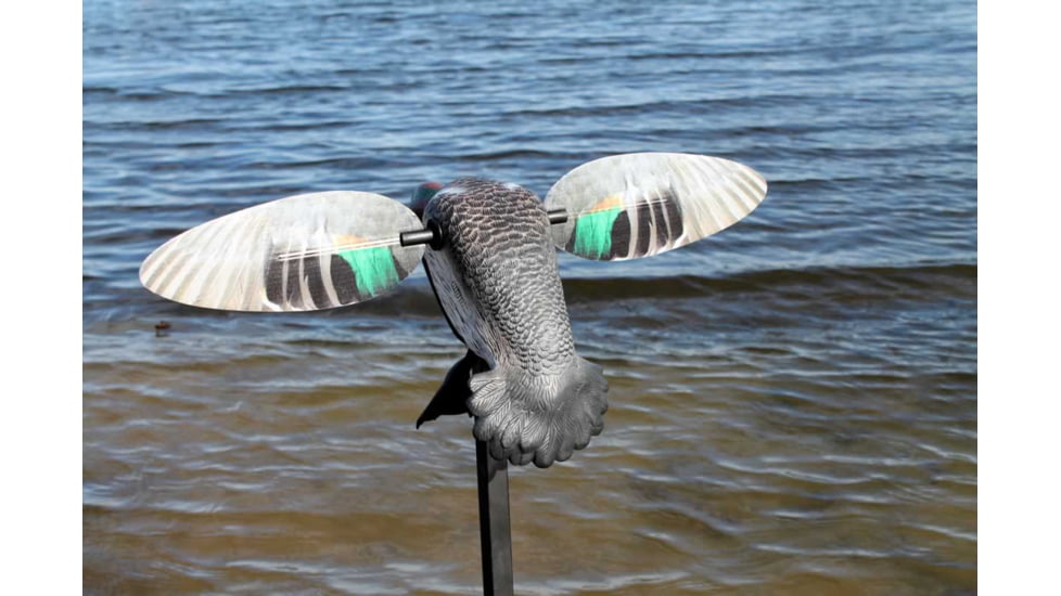 Mojo Green Wing Teal Decoy, Elite Series, HW2474