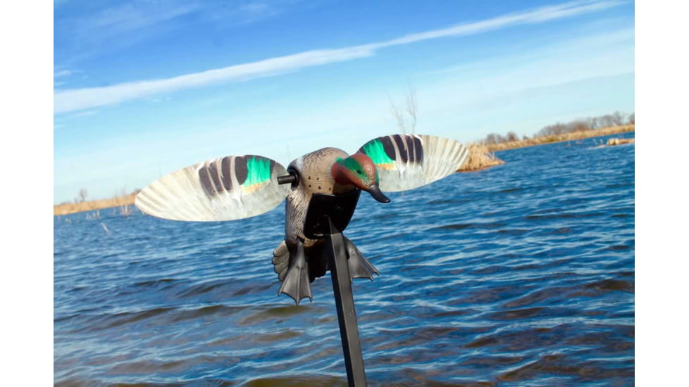Mojo Green Wing Teal Decoy, Elite Series, HW2474