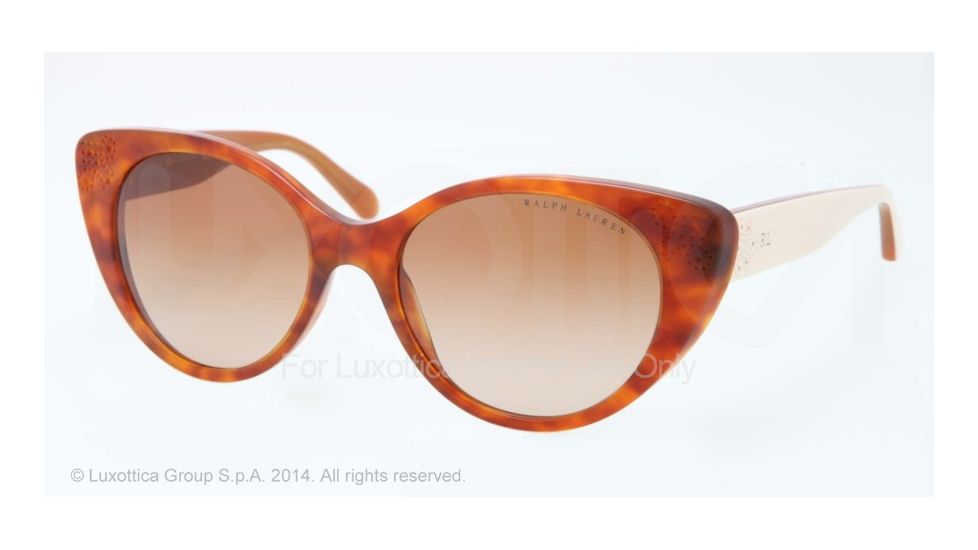 Ralph Lauren RL8110 Bifocal Prescription Sunglasses RL8110-544913-55 - Lens Diameter 55 mm, Frame Color Avana Red Vintage Effect