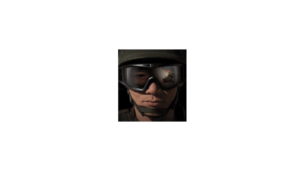 Revision Military Eyewear Asian Locust Goggle 