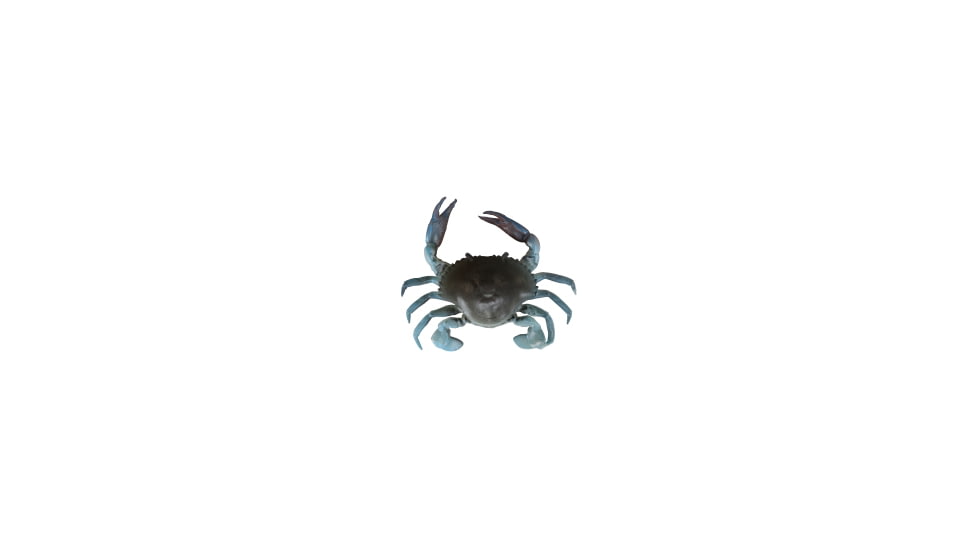 Savage Gear 3D TPE Crab Soft Bait, Pack of 1, 1in, Blue Crab, 1587137
