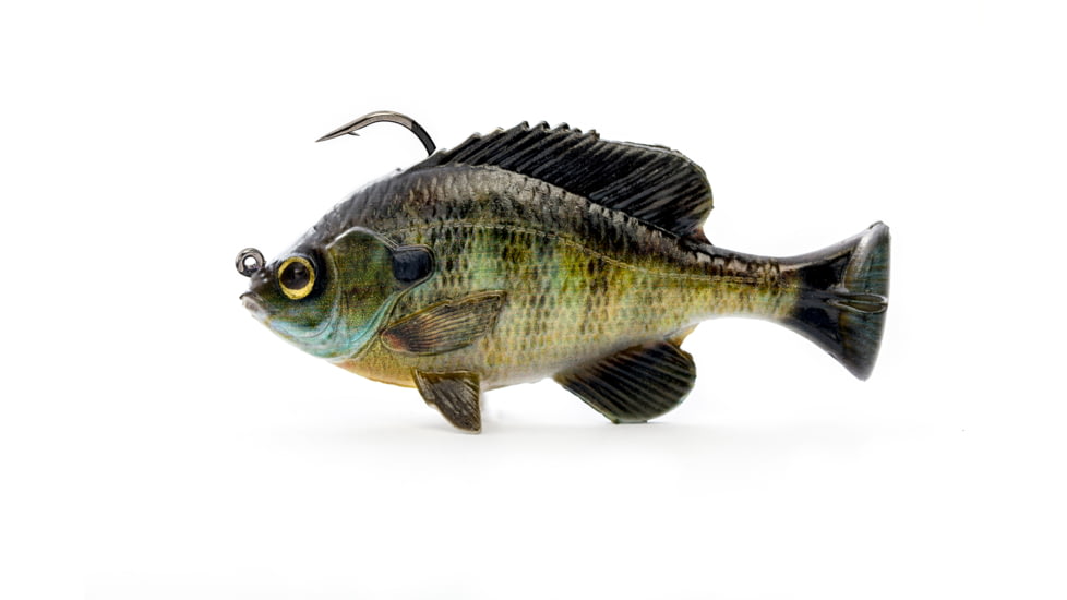 Savage Gear Pulse Tail Bluegill RTF Soft Bait, Pack of 1, 4in, Bluegill, 1585587