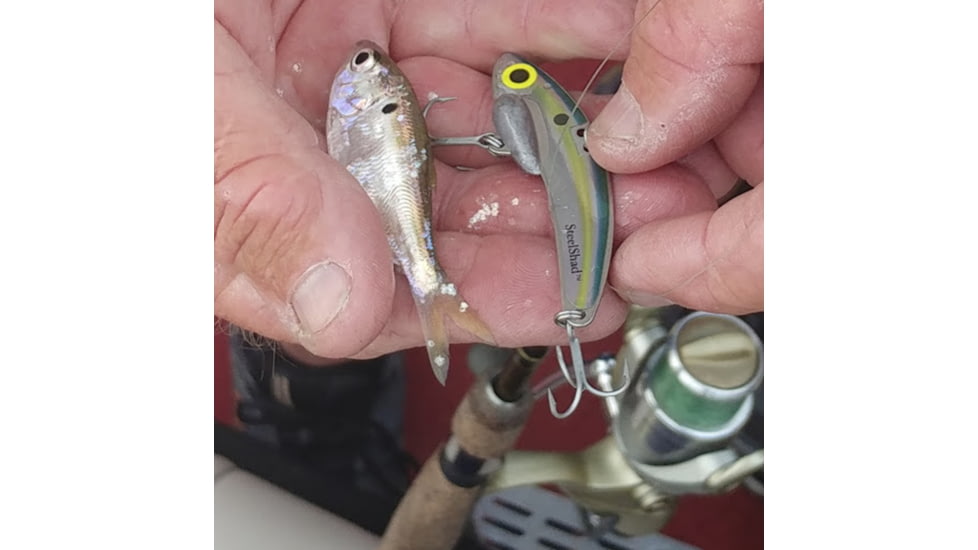 SteelShad 3/8 oz Blade Bait, Sexy Shad, SSL-10032