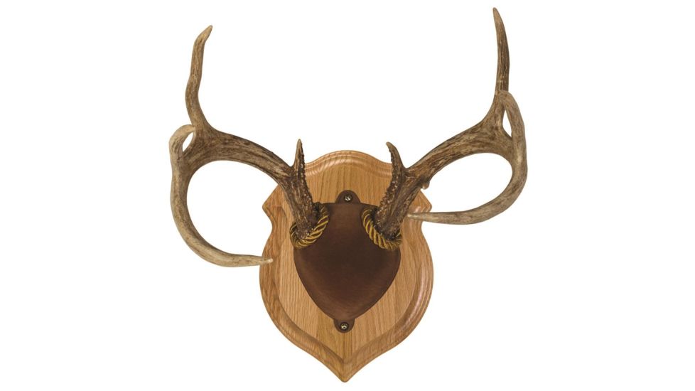 Walnut Hollow Deluxe Antler, Display Kit Oak 40755