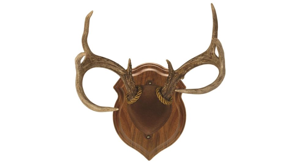Walnut Hollow Deluxe Antler, Display Kit Walnut 40756