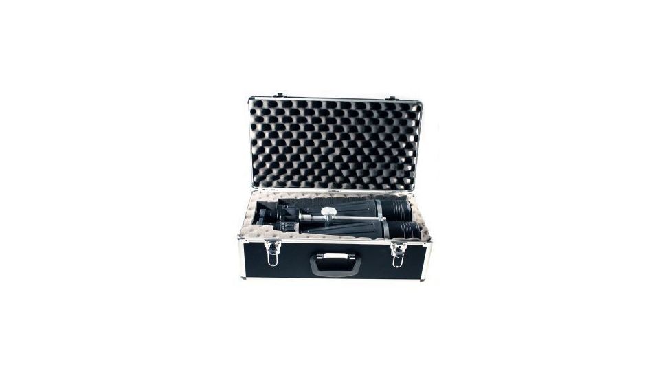 Case