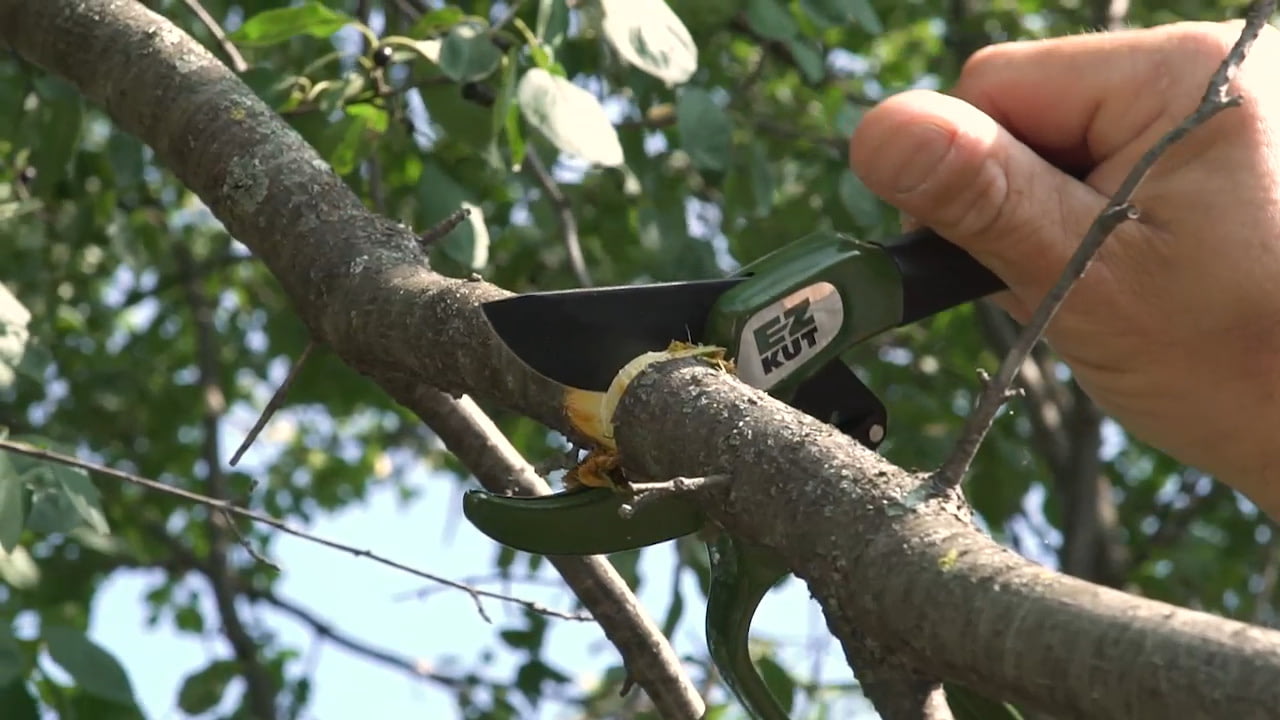 opplanet ez kut pruner short video