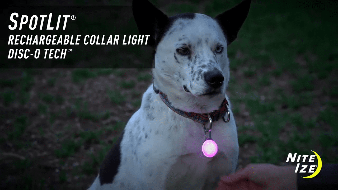opplanet nite ize spotlit rechargeable collar light disc o tech original jewel video